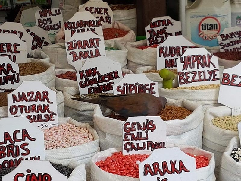 bazar-de-las-especias